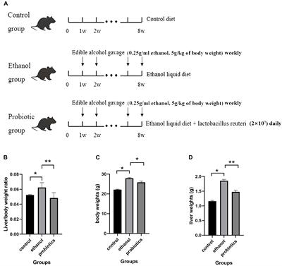 Liver Metabolomics Reveals the Effect of Lactobacillus reuteri on Alcoholic Liver Disease